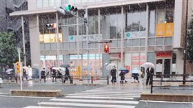 東京11月降初雪。（圖／取自Chiko™ twitter）