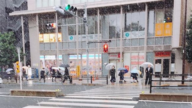 東京下雪了　鄭明典：分裂極渦的威力