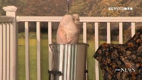 f火雞變炸彈1200