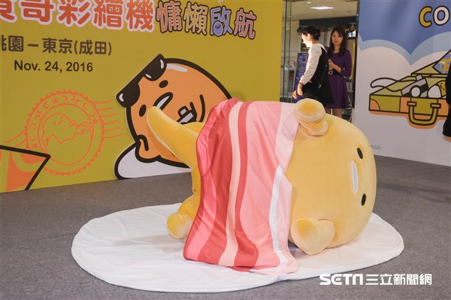 長榮蛋黃哥彩繪機登場　（圖／記者林敬旻攝）