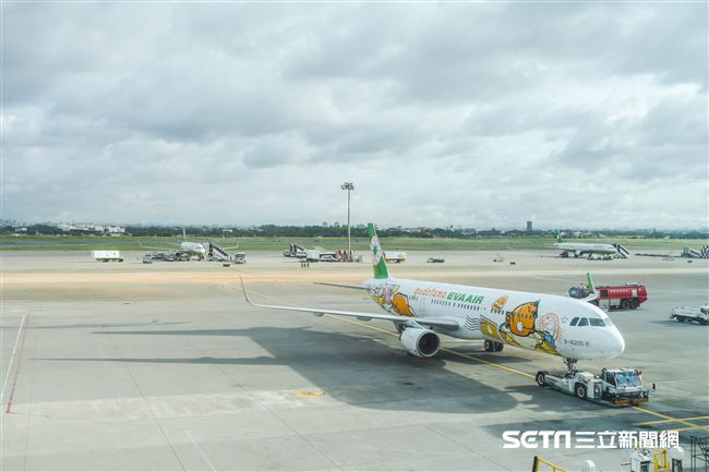 長榮蛋黃哥彩繪機登場　（圖／記者林敬旻攝）