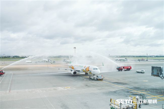 長榮蛋黃哥彩繪機登場　（圖／記者林敬旻攝）