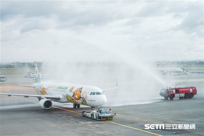 長榮蛋黃哥彩繪機登場　（圖／記者林敬旻攝）