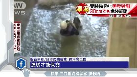 f海嘯能奪命1600