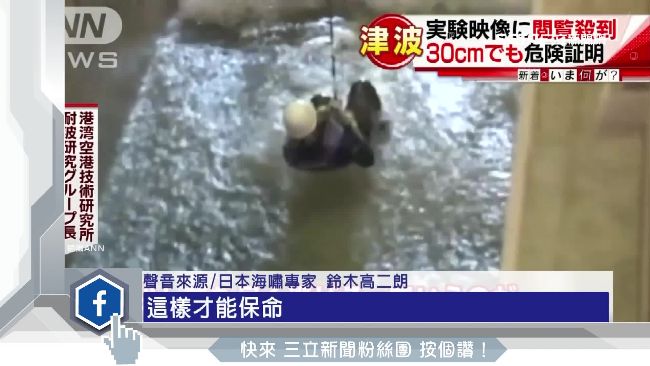 夜配聞／海嘯模擬！僅50公分就可…
