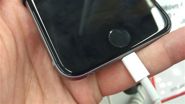嚇！i6臥室充電　農場竟一夕全毀
