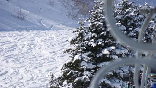 冬季旅日必去！鄰近東京優質滑雪場