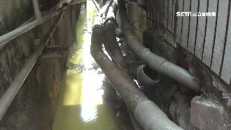 全台唯一漆彈工廠　勒令停工還排廢水