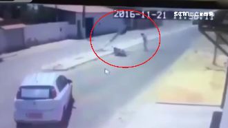 巴西騎士追撞前車　起身又遭電線桿砸