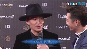 金馬,金馬53, 金馬獎,紅毯,星光,張震（翻攝自friDay）