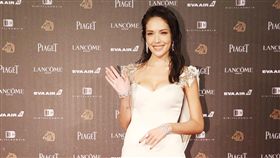 金馬53星光大道紅毯、許瑋甯（圖／中央社）