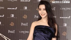 金馬,金馬53,金馬獎,紅毯,星光,范冰冰,馮小剛（圖／記者邱榮吉攝）