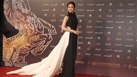 金馬,金馬53,金馬獎,紅毯,星光,林依晨（圖／記者邱榮吉攝）