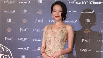 個人意見/2016金馬獎星光大道 看看明星們穿什麼