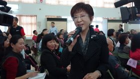 國民黨主席洪秀柱。國民黨提供