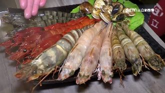 冬日最對味！蝶豆花鍋配巨豬蝦超吸睛