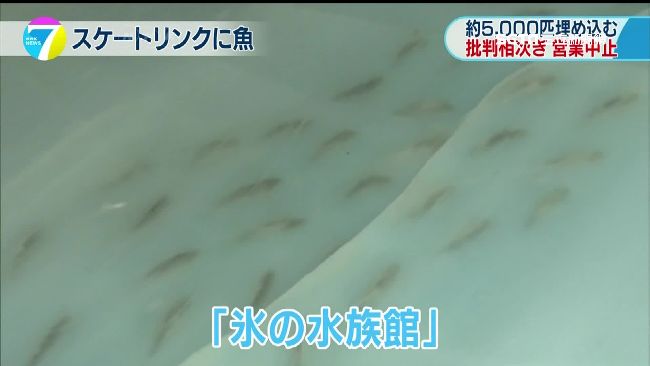 滑冰場下埋死魚　遊樂園創意挨批殘忍