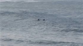 漂浮,海上,衝浪客,救援
圖／中央社