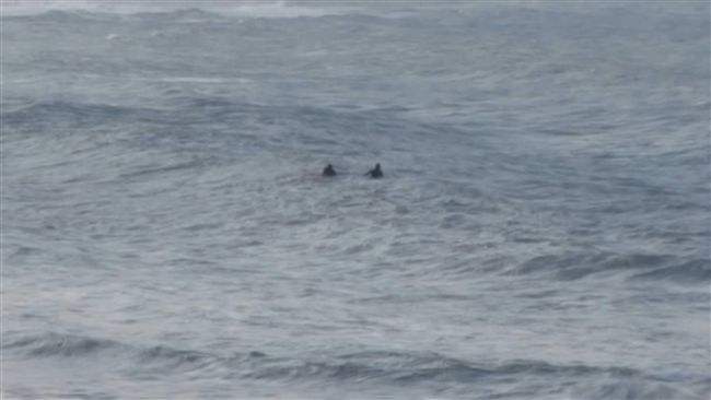 石門2衝浪客遇大浪　漂浮海面等救援