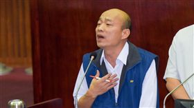 台北市議會總質詢,台北農產運銷公司總經理韓國瑜　圖／記者林敬旻攝