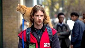 電影《遇見街貓Bob》（圖／采昌國際多媒體提供／寵物滔客誌）（名家）