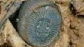 古錢幣,農夫,恐怖陷阱,蜘蛛,浙江,金錢活門朱,里氏盤腹蛛,大屁股,官印,銅錢　圖／翻攝自YouTube