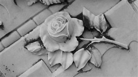 獻花 玫瑰／flickr-Valerie Reneé

https://www.flickr.com/photos/valerierenee/116898380/in/photolist-bk8Pj-qT1vry-8VW46J-CSXct-7UuyYD-5JZ6ac-nJ5uWX-jeFKt7-aQXeBH-7RusY2-6qmjVN-dcEwgU-9M3Qws-9yKTpR-mM9vZ7-Hx9Ur-isdxM5-eisBsy-bo5UUU-gjWCr4-5RMeut-9FrnWH-6qn5Ee-ooEhY-6KqU2z-6qRm5a-qFSB46-djYKQZ-ps5o2p-aY41jc-rM67L-qCJ5dA-eVNmpi-cLJS7-bosAeX-6hLvDS-8G8tQ8-nF7PJH-kw6cTT-CSX9x-4RhPFJ-4obek7-4o7ayi-Qxr-Qxo-Qxd-5HAsGb-564Pfu-6kd17v-pk67HL