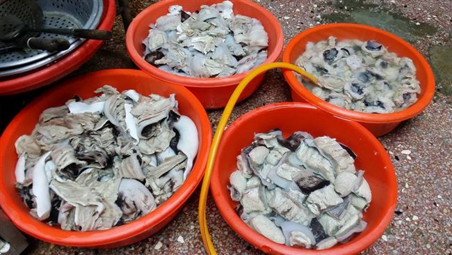 阿華鯊魚烟生菌超標　稽查限3天改善
