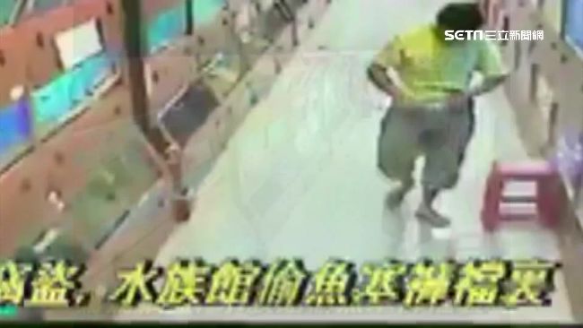 男偷高價異形魚　撈魚塞褲襠得手上萬