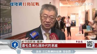 政府擋陸資來台　陳冲：石器時代思維