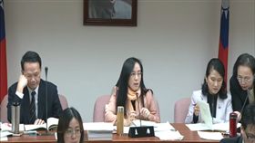 立法院衛環委員會主席陳瑩　圖／翻攝自立法院直播