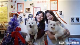 新莊「幸狐咖啡館」 廖珮甄（右）、廖子葳（左）兩姐妹和她們救助的狗狗。（圖／記者王亦信攝）（校園記者）
