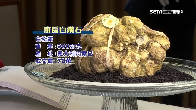 台史上最大白松露　9百克要價70萬