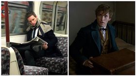 艾迪瑞德曼,Eddie Redmayne,合成圖／每日郵報、怪獸與牠們的產地臉書