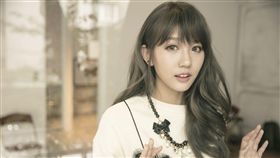 四葉草,圖／量能文創提供