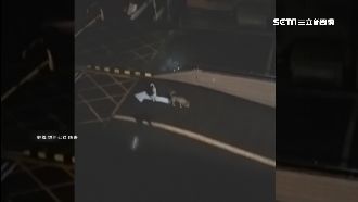 流浪狗擾鄰　住戶為蒐證槓上管理員