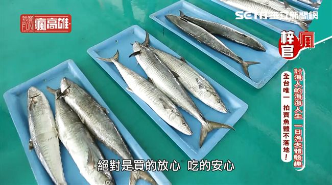 討海人的海海人生　一日漁夫體驗趣