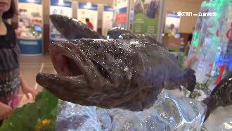 創新網路行銷　國產石斑購物平台