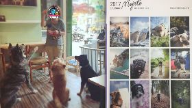 走狗的小女子用愛 讓瑞士狗狗助台流浪