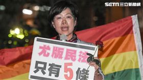 尤美女,同志,同性戀,公聽會,婚姻平權,民法,恐同　圖／記者林敬旻攝