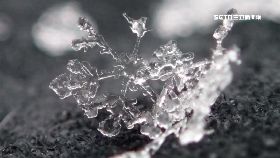 雪片測氣象1800