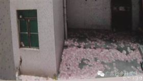 廣州,中國大陸,灑錢,富豪,跳樓
圖／翻攝自廣州日報微博
http://tw.weibo.com/gzdaily/4048928384871262