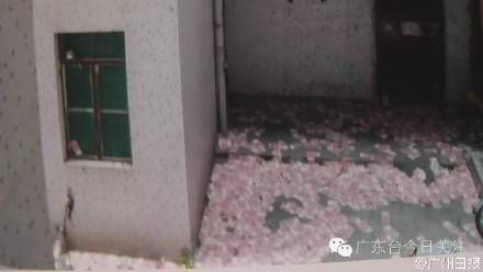 陸富豪疑感情糾紛　灑鈔跳樓倒臥錢堆