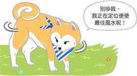 名家_毛起來
定位最佳風水？為什麼狗狗便便前總愛轉圈圈？