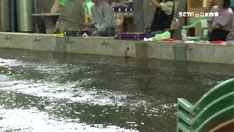 釣蝦偷吃步　民眾連手機都丟進池裡