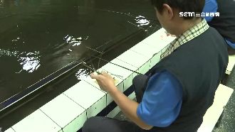蝦沒上鉤驚見蟲爬滿餌　釣客頭皮發麻