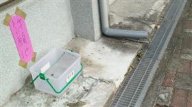 南一中　許願池