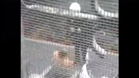 討債,下跪,員警,電鈴,喇叭,誣賴,新北,新店,噪音(爆料公社 https://www.facebook.com/162608724089621/videos/386394645044360/)