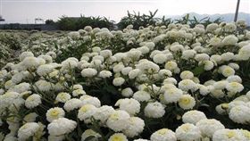 苗栗（圖／Rich Tiger／旅遊滔客誌）