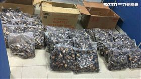 海巡署二二岸巡大隊台北安檢所破獲民眾在快遞包裹裡夾帶中國香菇走私案（翻攝畫面）